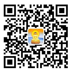 免费看片TV下载