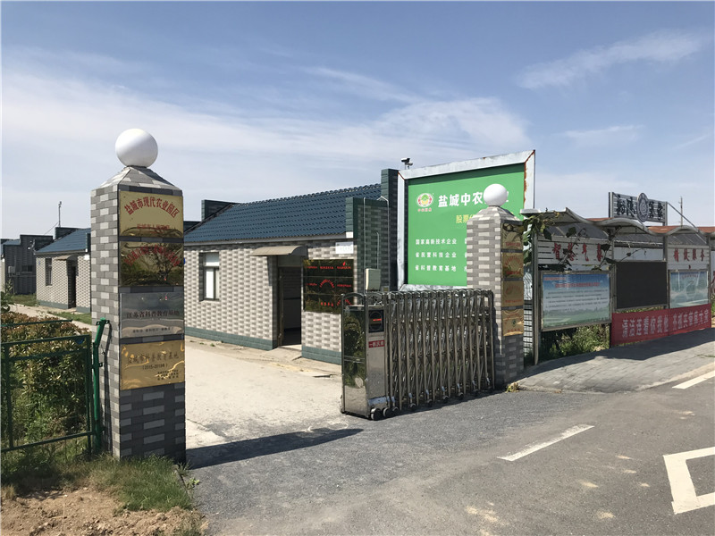 免费看片在线观看网站基地
