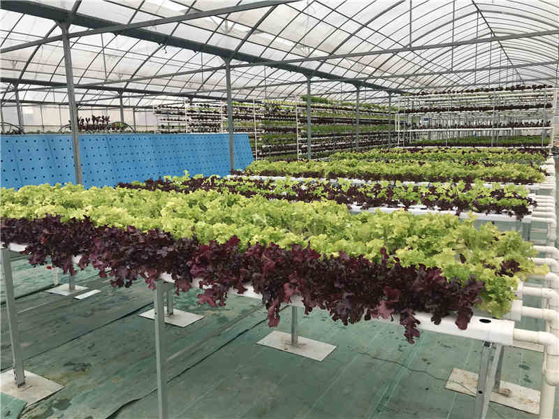 淺液流免费看片在线观看网站