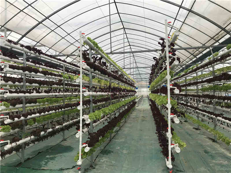 立體免费看片在线观看网站
