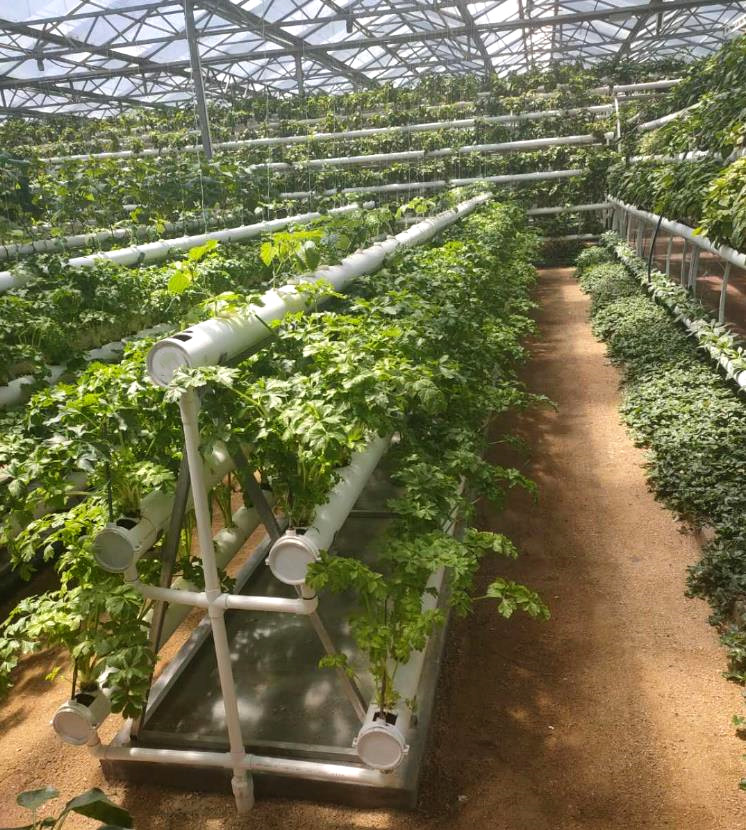 免费看片网站大全案例